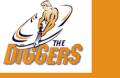 logo The Diggers